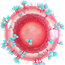 HIV - Vírus