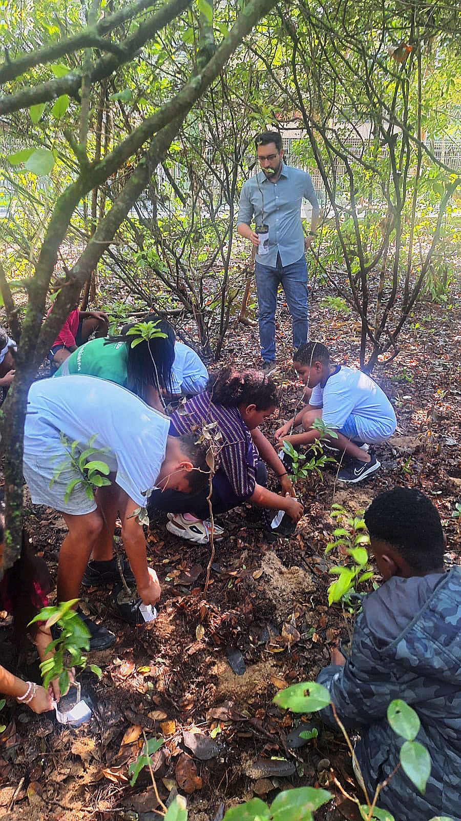 IMAGEM PARQUE CHICO MENDES