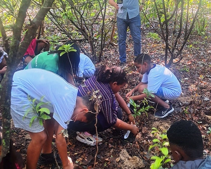 IMAGEM PARQUE CHICO MENDES