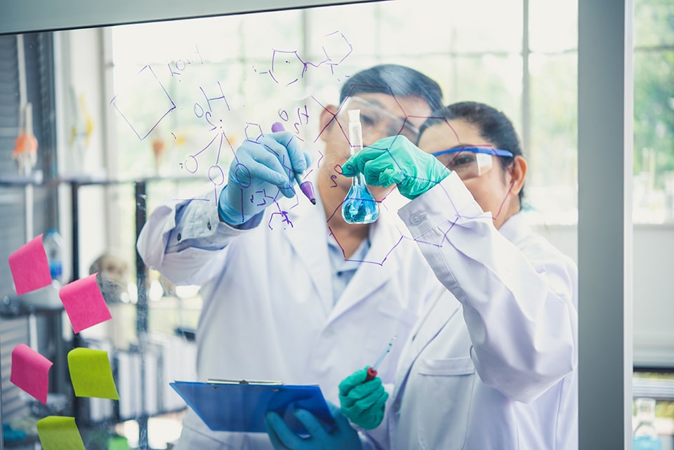 Dois cientistas analisando amostras