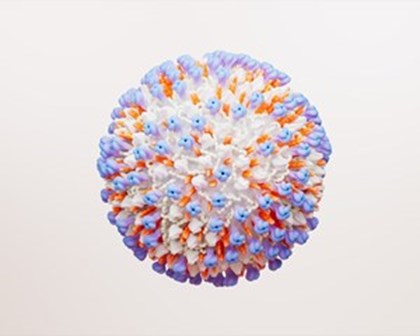 Representação gráfica - vírus RSV