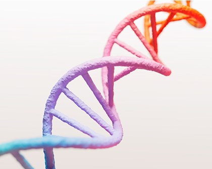 Representação gráfica - DNA