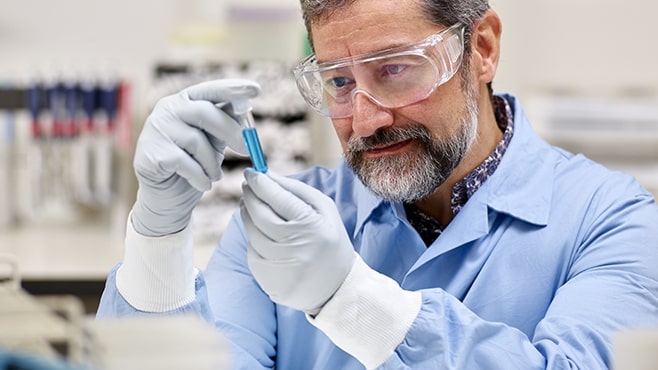 Seção em destaque - Conheça nosso portfólio