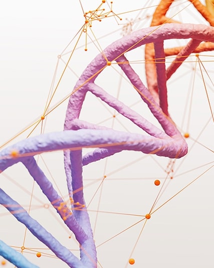 Descubra mais - Inovação