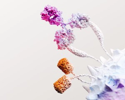 Representação gráfica - área oncologia