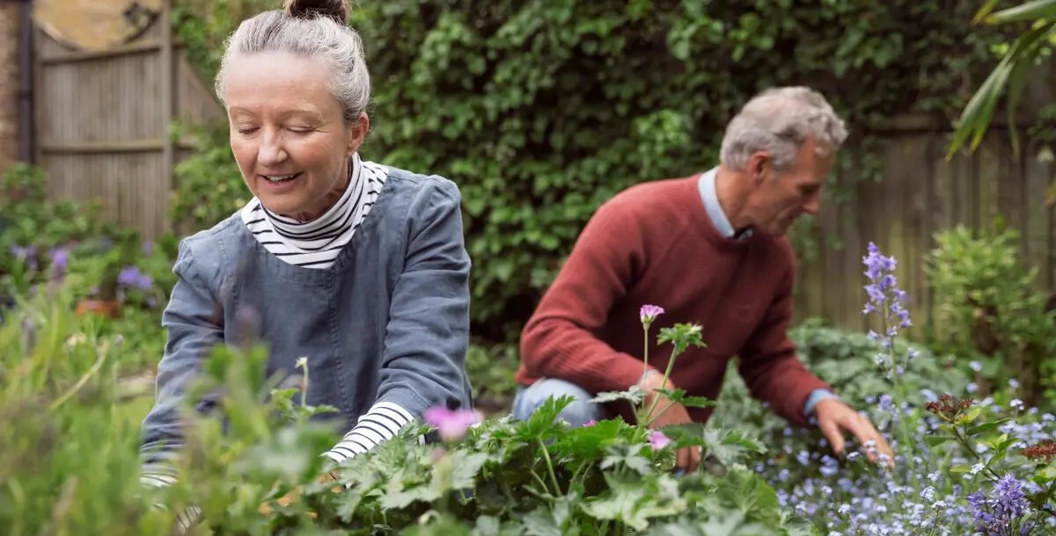 Adultos Com 50 Anos Ou Mais Precisam Se Proteger De Vírus Respiratório