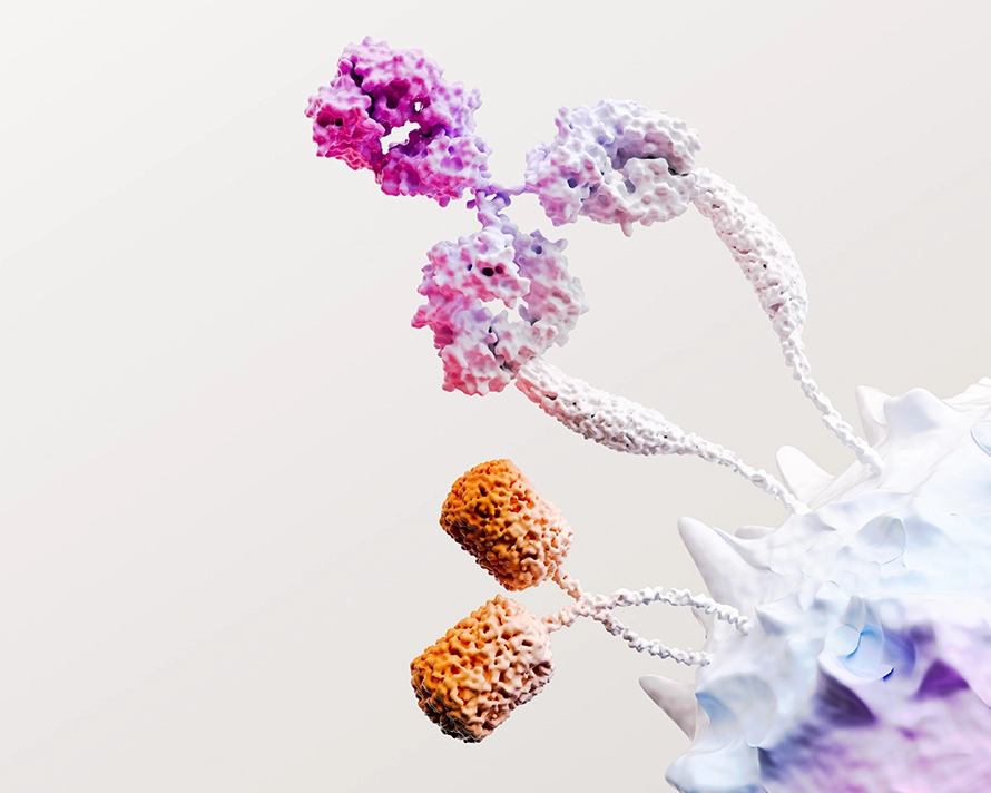 Immuno Oncology