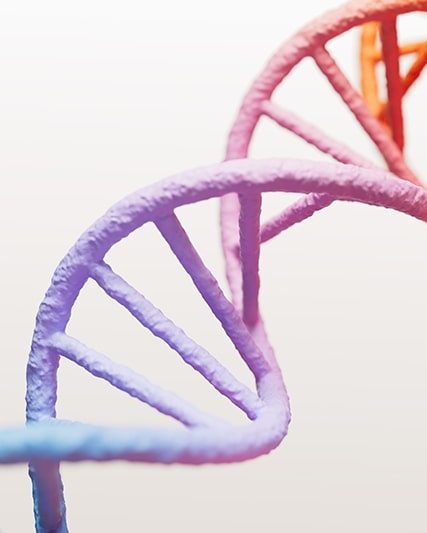 Descubra mais - Propósito, estratégia e cultura