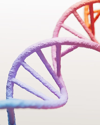 Descubra mais - Propósito, estratégia e cultura