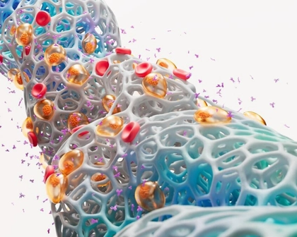 Multiple Myeloma Science Image RGB 30962