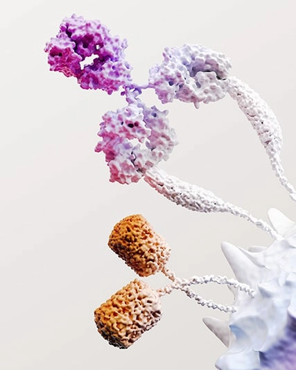 Descubra mais - A Companhia