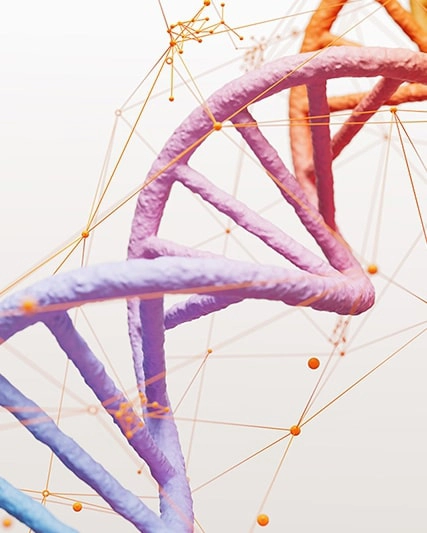 Descubra mais - Inovação