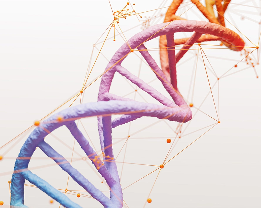 Representação gráfica - DNA