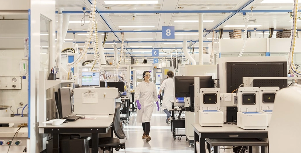 Desbloqueando o poder do sistema imunológico para se antecipar à hepatite B